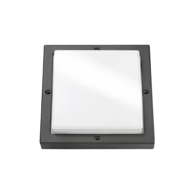 SG LEUCHTEN Sensor-Wandleuchte 623170 BASSI | Außenleuchte E27 mit HF-Bewegungsmelder | IP65 | Aluminium | graphit