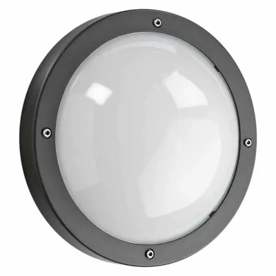 SG-Leuchten Außenwandleuchte Primo 623570 | E27 Fassung | IP65 | Aluminium graphit | 270mm | schlagfest | opal