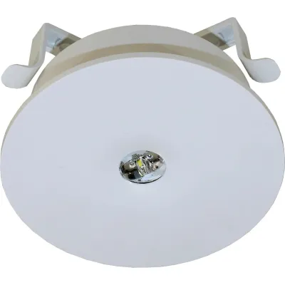 RP-Technik Sicherheitsleuchte ILEF029ML | LED Einbauleuchte Rettungsweg | Zentralbatterie | 230V | IP20 | weiß