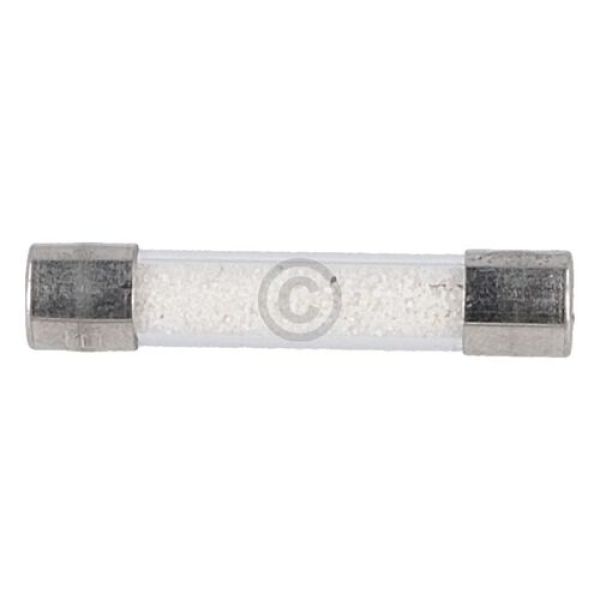 5 Fusibili Temporizzati In Vetro 630 MA 250V AC 6,3x32 Mm – T 630mA