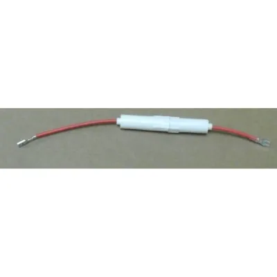 Sicherung Beko 9197022991 für Mikrowelle + Kombibackofen + Mikrowellenherd Beko