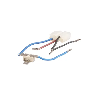 Sicherung-Thermisch 00426678