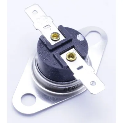 Sicherung-Thermisch 10006065