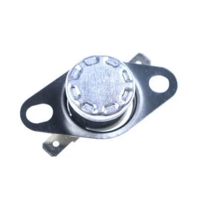 Sicherung-Thermisch 10006066