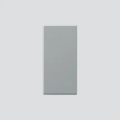 Siedle Klingeltaste 034797 Ersatzteil für TM 612-1 & BTM 650-01 | Sprechanlage | Kunststoff | Silber