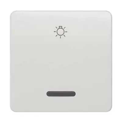 Siemens Wippe für Schalter 5TG7806 | DELTA profil | Symbol Licht | Kontrollfenster | titanweiß | 65x65mm