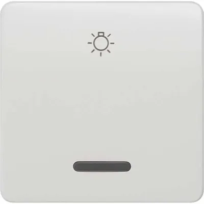 Siemens Wippe für Schalter 5TG7806 | DELTA profil | Symbol Licht | Kontrollfenster | titanweiß | 65x65mm