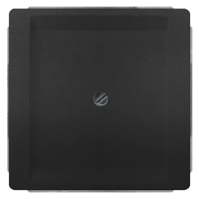 Siemens Blindabdeckung DELTA style 5TG1330-0AC | Zentralplatte | Unterputz | Thermoplast | RAL 7016 anthrazit | 68x68 mm
