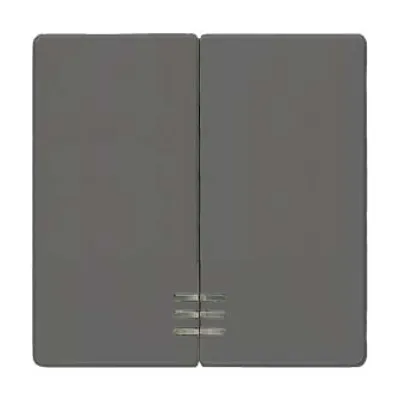 Siemens i-syst Wippe 2-fach mit Fenster, carbon 5TG6224