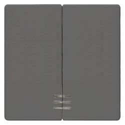 Siemens i-syst Wippe 2-fach mit Fenster, carbon 5TG6224