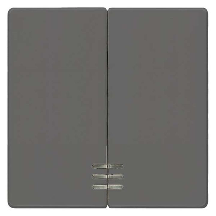 Siemens i-syst Wippe 2-fach mit Fenster carbon 5TG6224