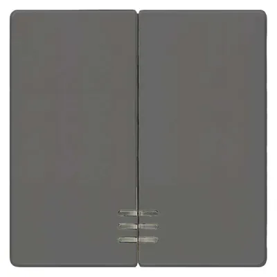 Siemens i-syst Wippe 2-fach mit Fenster, carbon 5TG6224