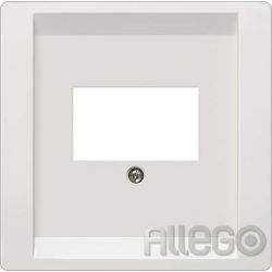 Siemens IS Abdeckplatte TAE ti/ws 5TG1342