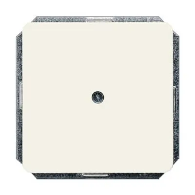 Siemens Blindabdeckung 5TG1770 | Zentralplatte | DELTA profil | 65x65mm | Unterputz | Kunststoff Thermoplast | silber