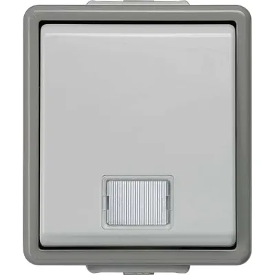 Siemens Kontrollschalter 5TA4700 | Aufputz IP44 | 1-polig | Kontrolllampe | 10A 250V | Fenster | grau/dunkelgrau