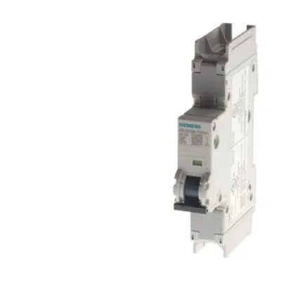 Siemens Leitungsschutzschalter 5SJ4110-7HG41 | 1-polig | C 10A | 240V | 14kA | UL489 | AC/DC | IP20 | Hutschiene