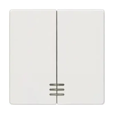 Siemens Wippe 2-fach mit Fenster 5TG6204 | DELTA i-system | Schalter-Taster Einsatz | Kunststoff | 55x55 mm | titanweiß