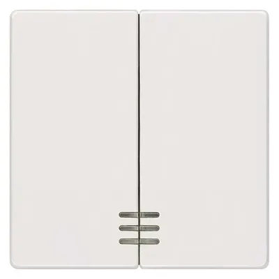 Siemens Wippe 2-fach mit Fenster 5TG6204 | DELTA i-system | Schalter-Taster Einsatz | Kunststoff | 55x55 mm | titanweiß