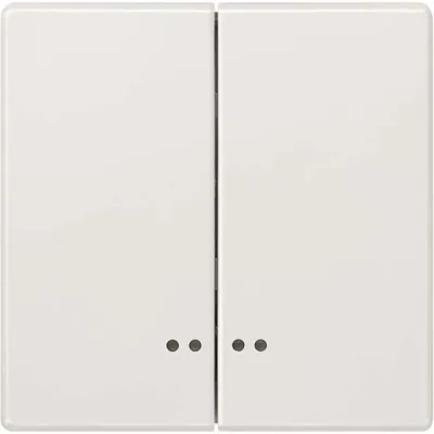 Siemens Wippe M.Fenster f.Taster Delta Style, tws 5TG7158