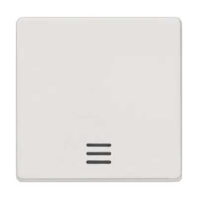 Siemens Wippe mit Kontrollfenster 5TG6200 | DELTA i-system Schalter/Taster | 55x55mm | Thermoplast | titanweiß