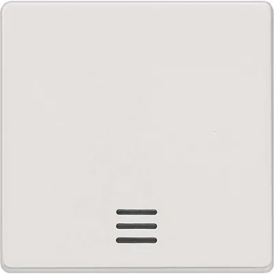 Siemens Wippe mit Kontrollfenster 5TG6200 | DELTA i-system Schalter/Taster | 55x55mm | Thermoplast | titanweiß