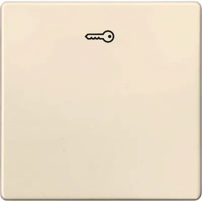 Siemens Wippe m.Symbol Türöff. Delta I-System ews 5TG6278