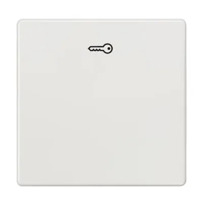 Siemens Wippe Schalter | DELTA i-system | Türöffner Symbol | 55x55mm | Kunststoff glänzend | titanweiß