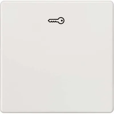 Siemens Wippe Schalter | DELTA i-system | Türöffner Symbol | 55x55mm | Kunststoff glänzend | titanweiß