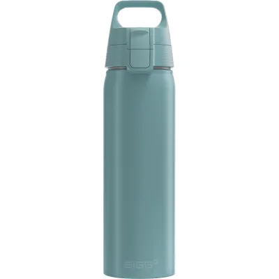 SIGG Flasche WMB ONE M.B.0,75l