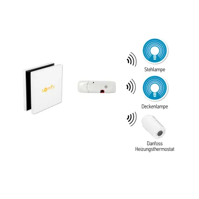 Somfy Z-Wave USB-Funkstick 1822492 | TaHoma Connect Modul | Smart Home | kompatibel mit Dimmern, Schaltern