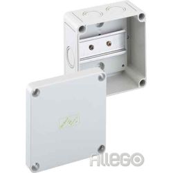 Spelsberg Klemmenkasten gr leer 4qmm IP54 RK 4/100L-leer