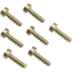 Spelsberg Schraube VE50 SC 22