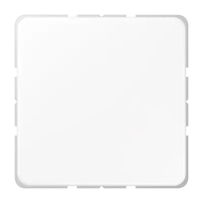 JUNG Blindabdeckung CD594-0WW | mit Tragring | Kunststoff Thermoplast | Klemmbefestigung | IP44 | glänzend | alpinweiß