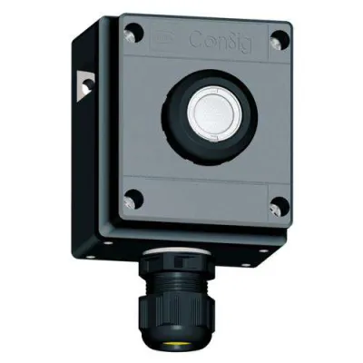 STAHL Leuchtdrucktaster 8040/1180X-35C06SA45 | Ex-geschützt IP66 | LED | 250V AC | 10A | 1-fach | Kunststoff | grau