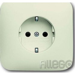 Steckdose UP Busch-Duro 2000 SI, ws