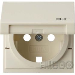 Steckdosenabdeckung cws System 55