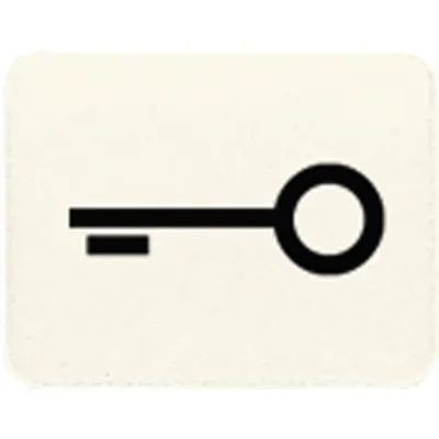 JUNG Symbol Tür 33T | Schalter-Symbol für CD 500, WG 600, AP 600 | weiß | Symbol Schlüssel/Tür | RAL 1013