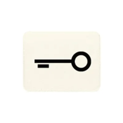 JUNG Symbol Tür 33T | Schalter-Symbol für CD 500, WG 600, AP 600 | weiß | Symbol Schlüssel/Tür | RAL 1013