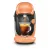 Bild: Tassimo Style TAS1106 (pfirsich)