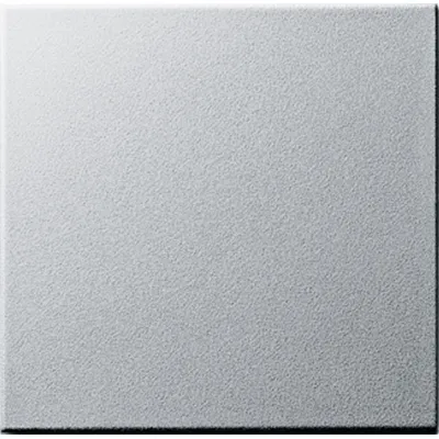 GIRA Wippe für Tastschalter | 091626 | System 55 | Wechsel | Aluminium | einteilig | Ersatzteil