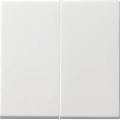 Gira Serienwippe 091527 System 55 | Tastschalter Wippe 2-fach | seidenmatt | reinweiß