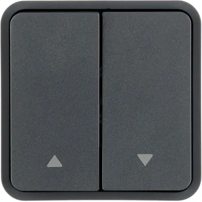 Taste 2t Schalter W.1 gr mt Pfeile