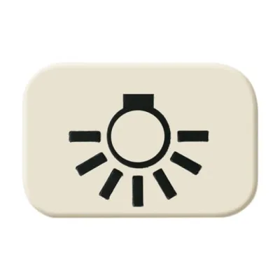Busch-Jaeger Tastersymbol Licht 2525 LI | Symbol für Wippe AP-Schalter AP-Taster | Serie Duro 2000 SI | weiß