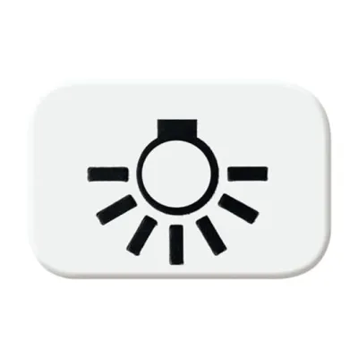 Busch-Jaeger Tastersymbol Licht 2525 LI-214 | Reflex SI Symbol | Zubehör für Wippe 2520 | alpinweiß