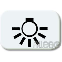 Tastersymbol Licht Reflex SI, alpinweiss