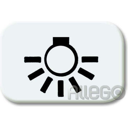 Bild: Tastersymbol Licht Reflex SI, alpinweiss