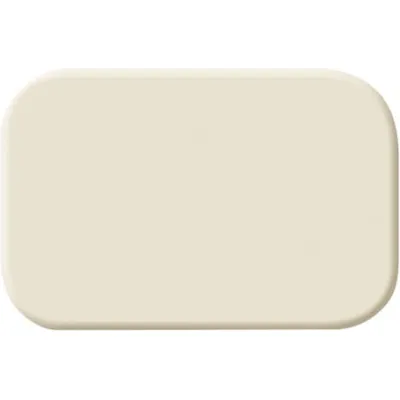 Busch-Jaeger Tastersymbol 2525 N | neutral | passend für Busch-Duro 2000 SI Wippen | Zubehör | weiß