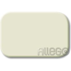 Tastersymbol Neutral Busch-Duro 2000 SI