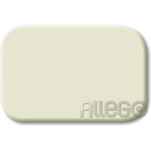 Bild: Tastersymbol Neutral Busch-Duro 2000 SI