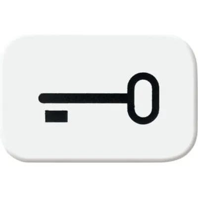 Busch-Jaeger Tastersymbol 2525 TR-214 | Schlüssel Symbol Reflex SI | Zubehör für Wippe 2520 | alpinweiß